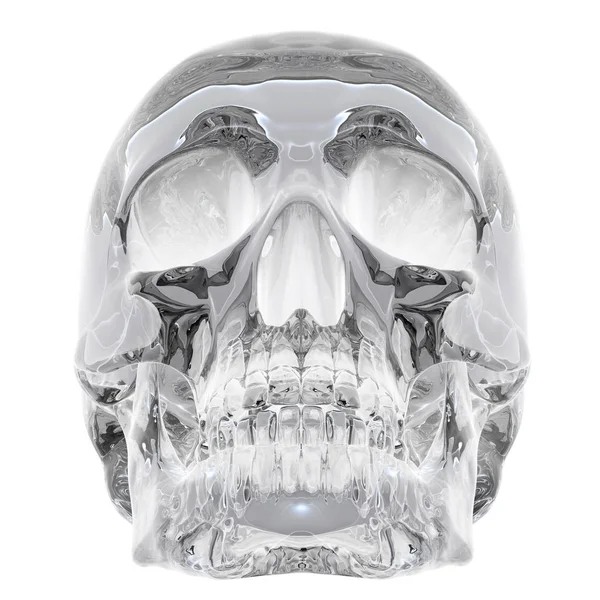 3D-s illusztráció: Crystal Skull - elszigetelt fehér background — Stock Fotó