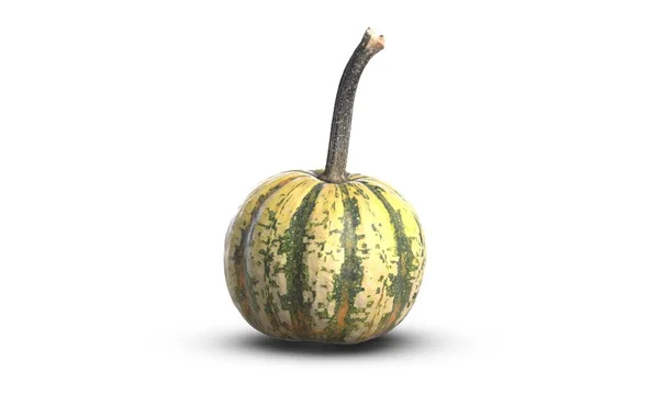 3D illustration of small decorative green pumpkin on white background — Stock Photo, Image