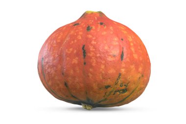 Kabak üzerine beyaz izole 3D çizimi