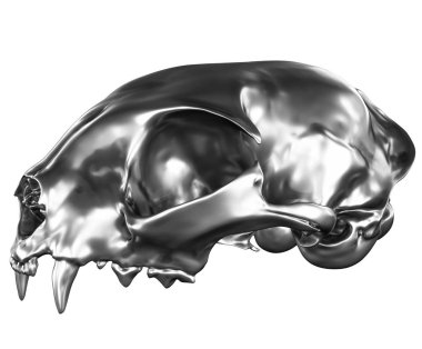 Metalik kedi kafatası beyaz arka plan üzerinde izole 3D render