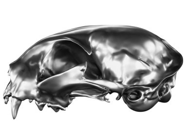 Metalik kedi kafatası beyaz arka plan üzerinde izole 3D render