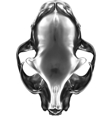 Metalik kedi kafatası beyaz arka plan üzerinde izole 3D render