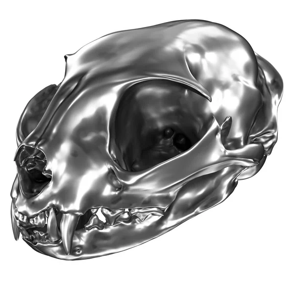 Rendu 3D du crâne métallique de chat isolé sur fond blanc — Photo