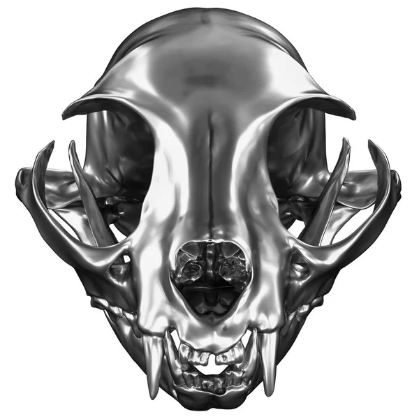 Representación Cat Skull Metálico Aislado Blanco — Foto de Stock
