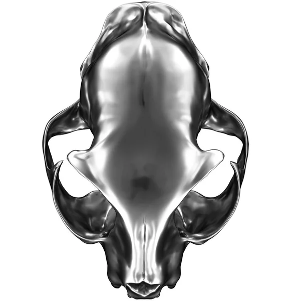 3D render metalicznej kot czaszka na białym tle — Zdjęcie stockowe