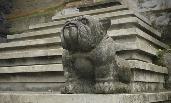 Sevimli ve komik Bulldog heykel. Heykel koruyucu köpek