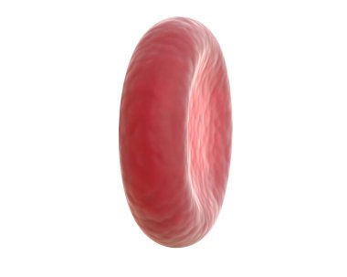 Beyaz izole kırmızı kan hücresi 3d render.