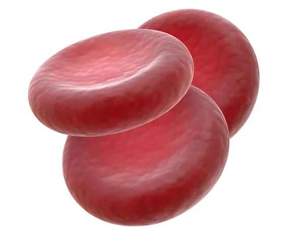Rendering 3D dei globuli rossi isolati su bianco . — Foto Stock