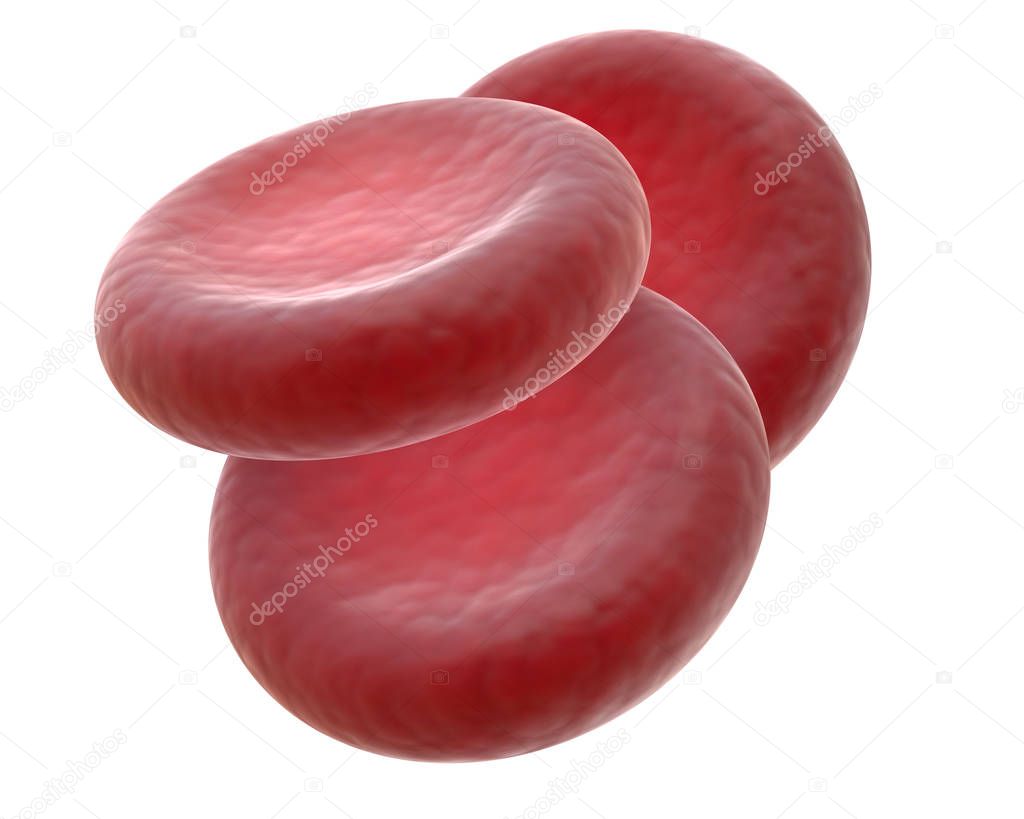 3D render of red blood cells isolated on white.