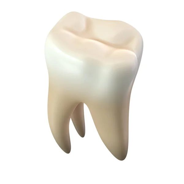Representación 3D de un solo diente molar aislado en blanco — Foto de Stock