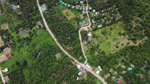 Luchtfoto van Thailand eiland jungle met weg en huis — Stockvideo