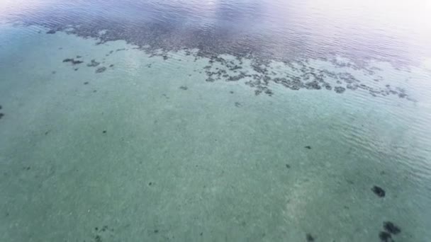 Vista aérea del arrecife de coral de aguas poco profundas — Vídeos de Stock