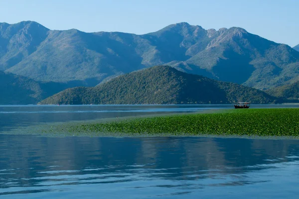 Sabahın erken saatlerinde gölün, ufkun ve arka planda dağların olduğu Skadar Gölü 'nün bir görüntüsü; turistleri taşıyan tekneler bir gezide süzülüyor. Karadağ, Skadar Gölü, 13 Ağustos 2025