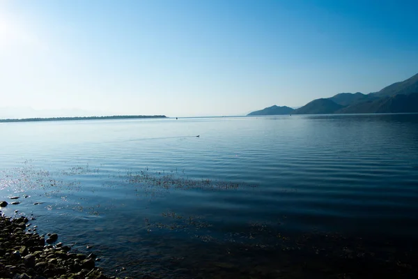 Sabahın erken saatlerinde gölün, ufkun ve arka planda dağların olduğu Skadar Gölü 'nün bir görüntüsü; turistleri taşıyan tekneler bir gezide süzülüyor. Karadağ, Skadar Gölü, 13 Ağustos 2025