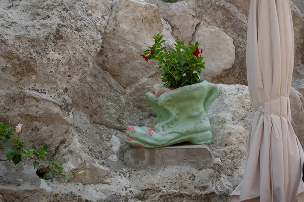 Şık bahçe dekorasyonu: engebeli taş bir duvara tünemiş parlak yeşil ayakkabı şeklinde bir bitki..