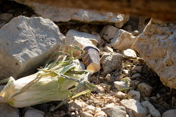 Skadar Gölü 'nün kayalık kıyısında üzerinde CEZAR logosu bulunan tek kullanımlık kağıt kahve fincanı ekolojik kirliliği vurguluyor. Karadağ, Skadar Gölü, 13 Ağustos 2025