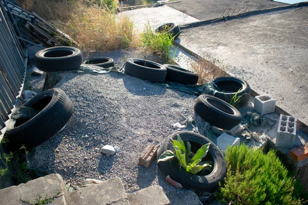 Çevreye saçılmış eski lastikler, peyzaj ve ekiciler için potansiyel olarak