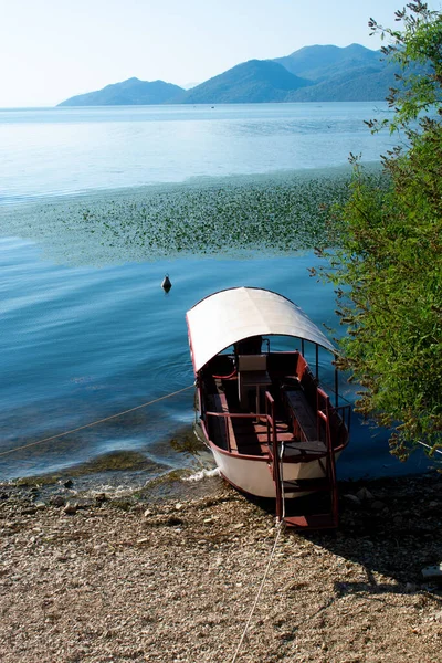 Skadar Laker 'de turistler için bir tur teknesi. Karadağ, Skadar Gölü, 13 Ağustos 2025