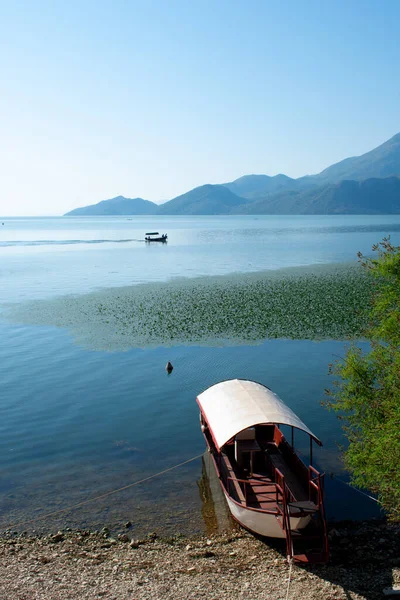 Skadar Laker 'de turistler için bir tur teknesi. Karadağ, Skadar Gölü, 13 Ağustos 2025