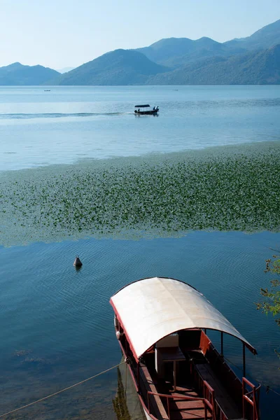 Skadar Laker 'de turistler için bir tur teknesi. Karadağ, Skadar Gölü, 13 Ağustos 2025