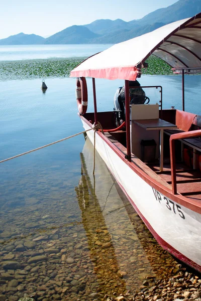 Turistler için Skadar Gölü 'nde bir tur teknesi. Skadar Gölü, 13 Ağustos 2025