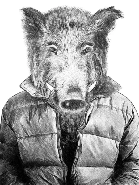 穿着衣服的动物有动物头颅的人野猪概念 — 图库照片