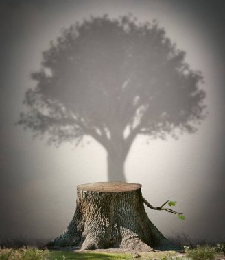Ağaç kesme. Devrilmiş bir ağacın gölgesi. Çevre koruma sembolü