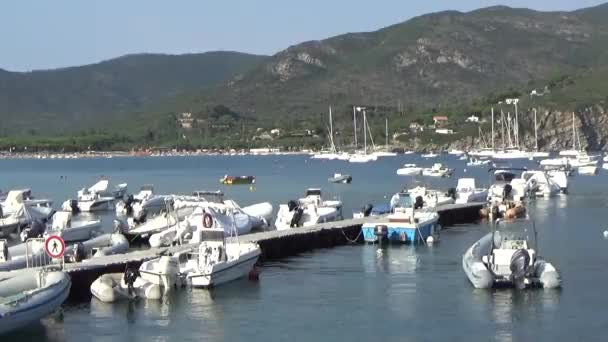 Barcos Motor Barcos Puerto — Vídeo de stock