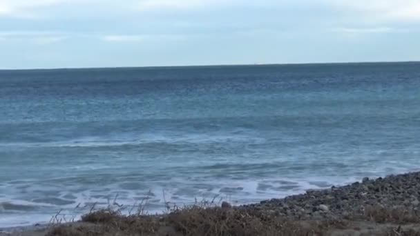 Côtier Horizon Vagues Éclaboussures Sur Rivage — Video