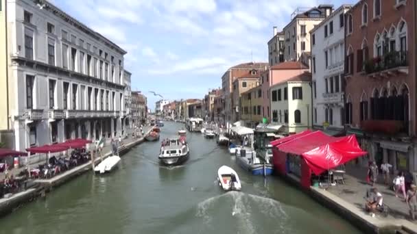 Barcos Navegando Canal Venecia Las Gaviotas Dando Vueltas Sobre Agua — Vídeo de stock