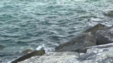 Dalgalar deniz buzlu yendi