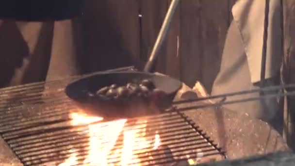 Ψημένα Κάστανα Κάστανα Είναι Ψημένα Στη Φωτιά Μαγείρεμα Καρύδια Στην — Αρχείο Βίντεο