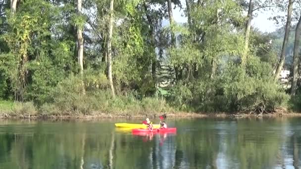 Deportes Acuáticos Canotaje Kayaks Concursos Remo Acuático — Vídeo de stock