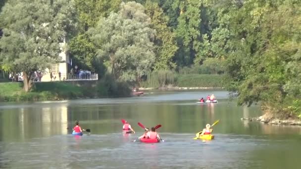 Deportes Acuáticos Canotaje Kayaks Concursos Remo Acuático — Vídeo de stock