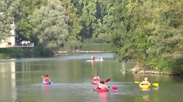 Water Sports Canoeing Kayaks Water Rowing Competitions — Stock Video