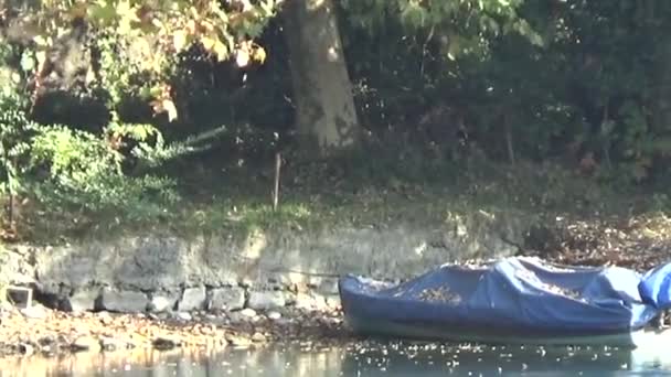 Barco Orilla Hojas Caídas Paisaje Otoñal — Vídeo de stock