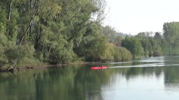 Deportes Acuáticos Canotaje Kayaks Concursos Remo Acuático — Vídeo de stock