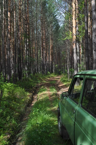 Araba Lada Niva. Ormanda Rus Suv. Tayga.