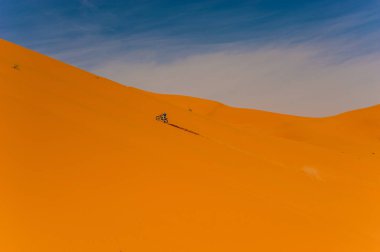 Erg African, Merzouga, Fas içinde kabuklarıyla bir binici