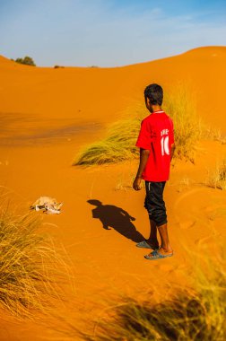 Çocuk Fas Merzouga çölde bir tilki çöl (çöl tilkisi) yakalamaya çalışıyor