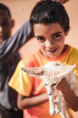 Çocuk Merzouga, Fas çölünde bir tilki (çöl tilkisi) yakaladı