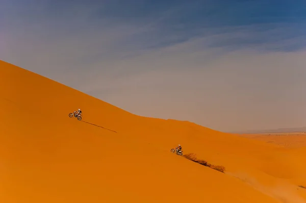 Erg African, Merzouga, Fas içinde kabuklarıyla bir binici