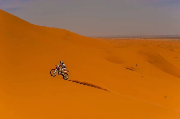 Erg African, Merzouga, Fas içinde kabuklarıyla bir binici