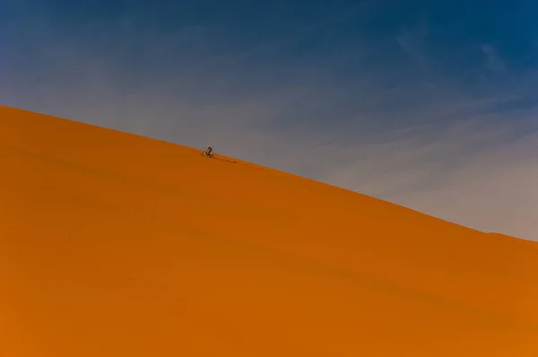Merzouga 모로코에에서 언덕에 라이더 — 스톡 사진