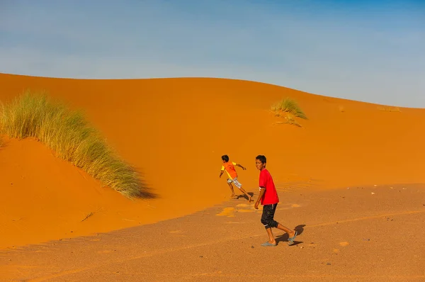 Merzouga Alanında Çölde Kum Çalışan Çocuklar Fas — Stok fotoğraf