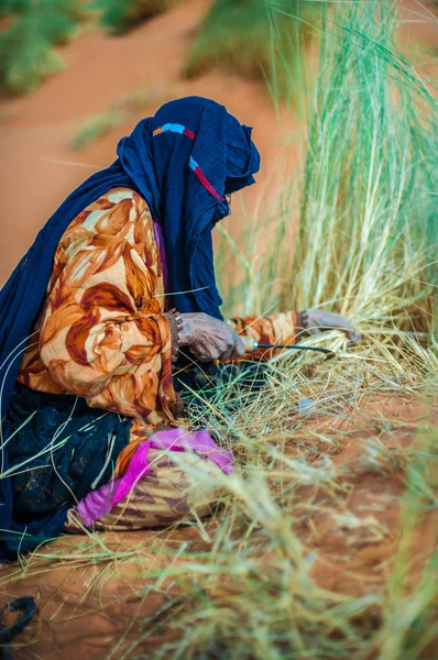 Eski iş berber kadın yalnız bir kumul Merzouga, Fas