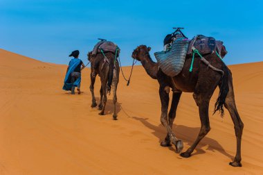 Sahra Çölü Merzouga, Fas yakınındaki Erg African çölde deve karavan