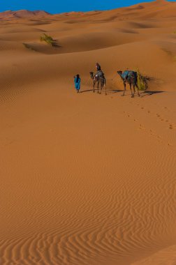 Sahra Çölü Merzouga, Fas yakınındaki Erg African çölde deve karavan