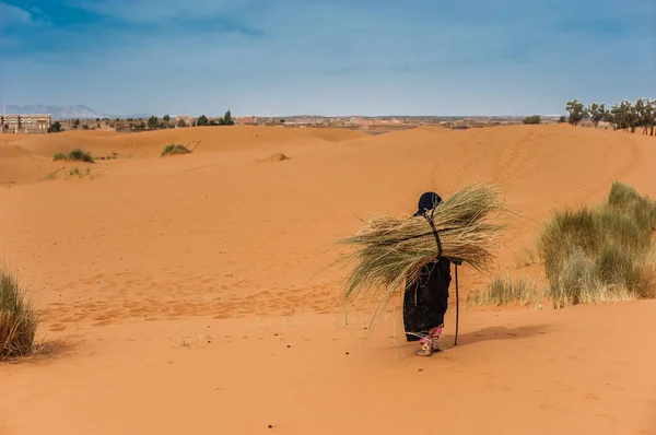 Eski Berber Kadın Yalnız Bir Kumul Merzouga Fas — Stok fotoğraf