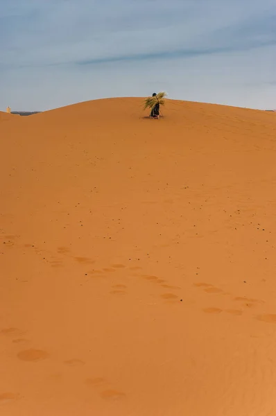 Vieja Mujer Bereber Trabajando Sola Una Duna Arena Merzouga Marruecos —  Fotos de Stock